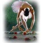 Soo Dance Unlimited logo
